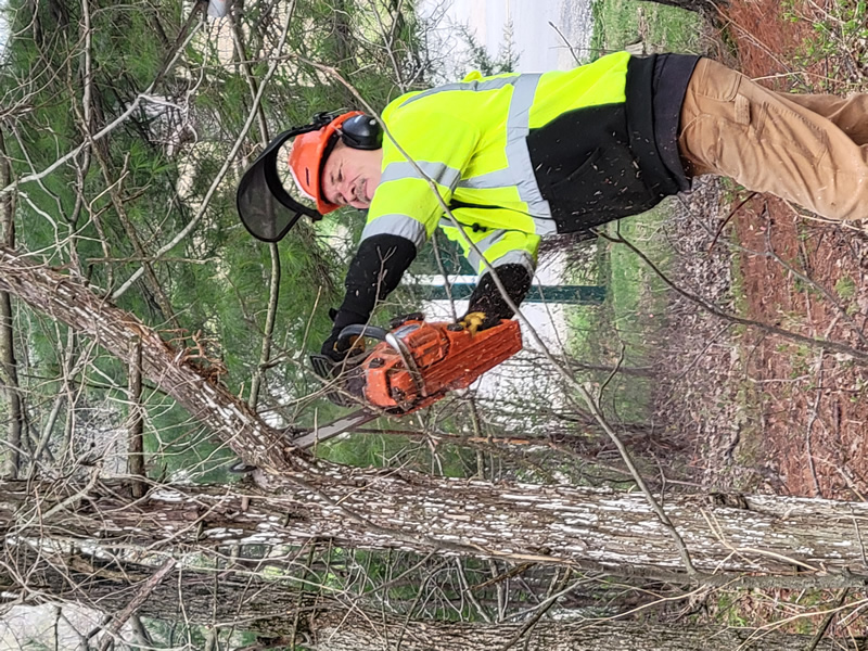 /pictures/Trail Maintenance 2021/20210418_082717.jpg